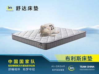 【现货】 布利斯床垫 亲肤透气抗菌阻螨针织面料 1.8*2.0米 舒柔海绵贴合脊椎曲线 时尚灰色包边 边缘加固 平稳承托邦尼尔弹簧 床垫