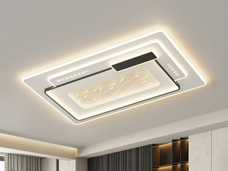 【包邮】 现代简约 铁+亚克力 客厅卧室系列 全屋套餐XY0220黑-两室两厅-三色变光 黑色 两室两厅(含光源 LED贴片)（内蒙古，新疆，西藏，青海，甘肃、宁夏等地区不包邮 运费请咨询客服）