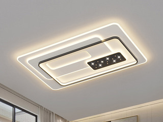 【包邮】 现代简约 铁+亚克力 客厅卧室系列 全屋套餐XY0178黑-两室两厅-离线语音+遥控 黑色 两室两厅(含光源 LED贴片)（内蒙古，新疆，西藏，青海，甘肃、宁夏等地区不包邮 运费请咨询客服）