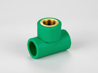 PP-R彩色水管 内螺纹三通 规格20*1/2 数量192个/箱 绿色