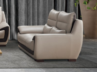 简素 现代简约 皮艺 米白色 双人沙发